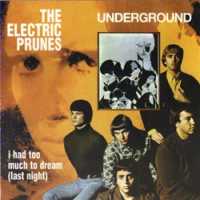 Electric Prunes